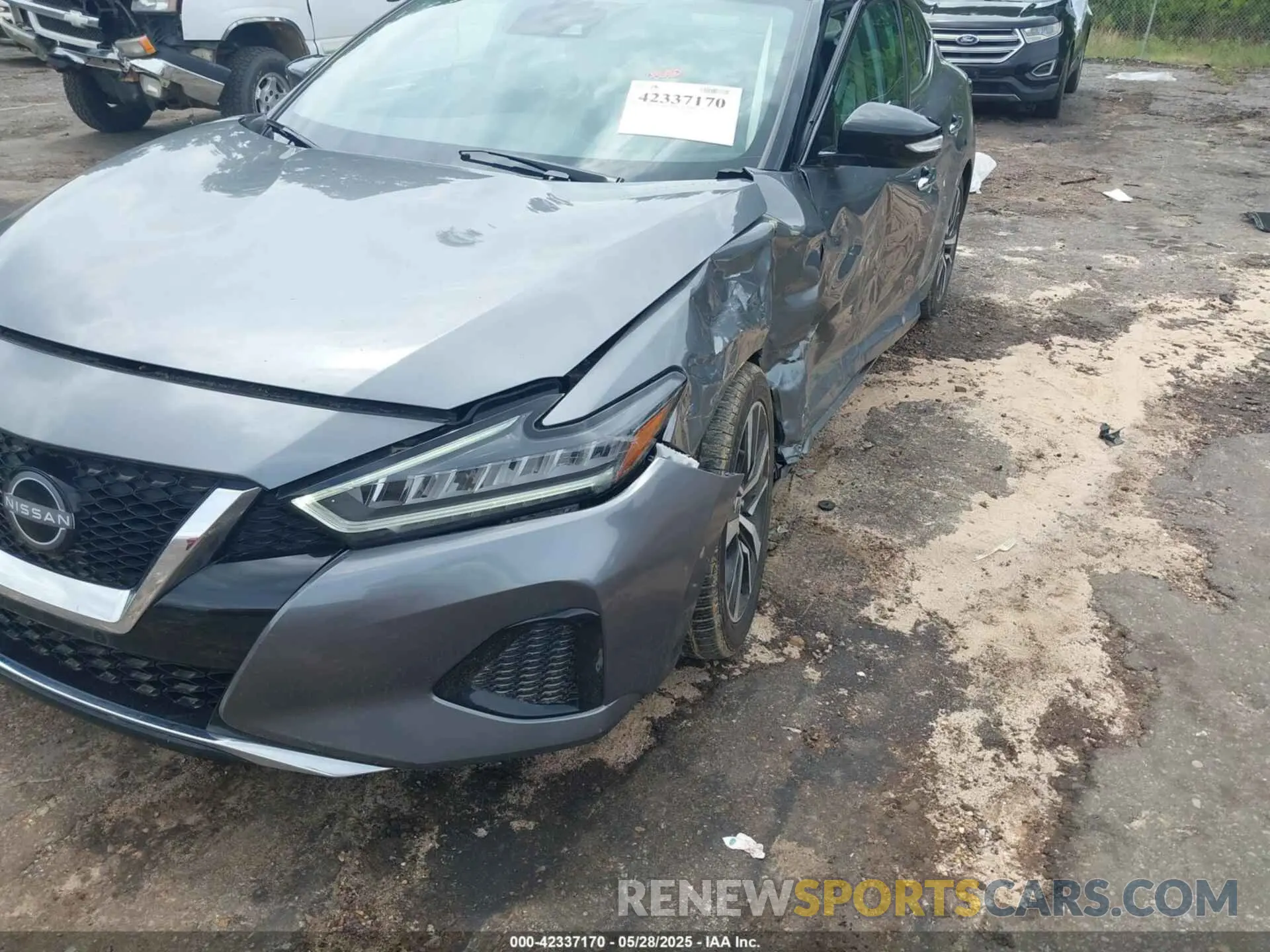 6 Photograph of a damaged car 1N4AA6CV0PC510472 NISSAN MAXIMA 2023
