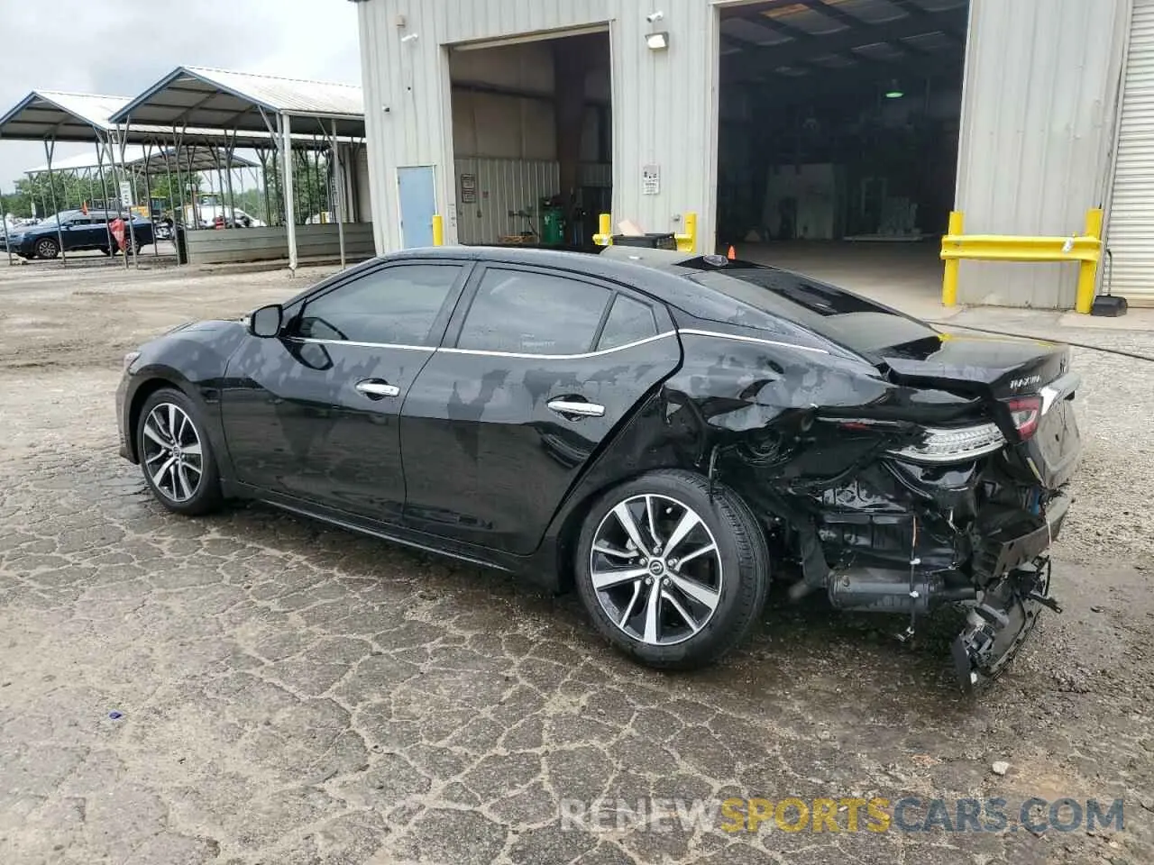 2 Photograph of a damaged car 1N4AA6CV1PC501974 NISSAN MAXIMA 2023