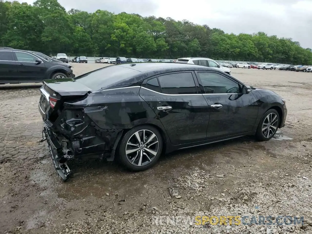 3 Photograph of a damaged car 1N4AA6CV1PC501974 NISSAN MAXIMA 2023