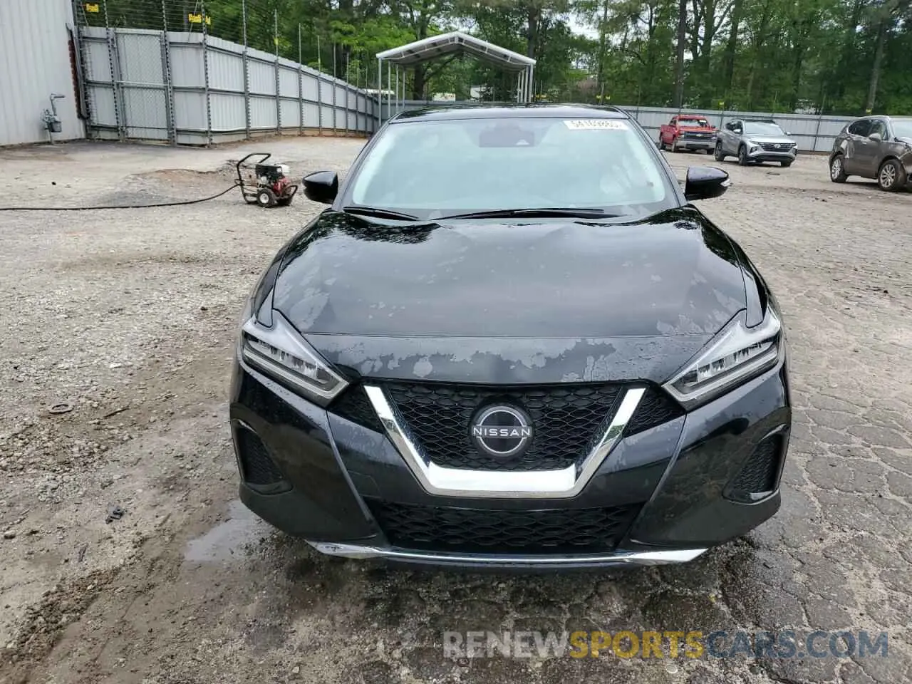5 Photograph of a damaged car 1N4AA6CV1PC501974 NISSAN MAXIMA 2023
