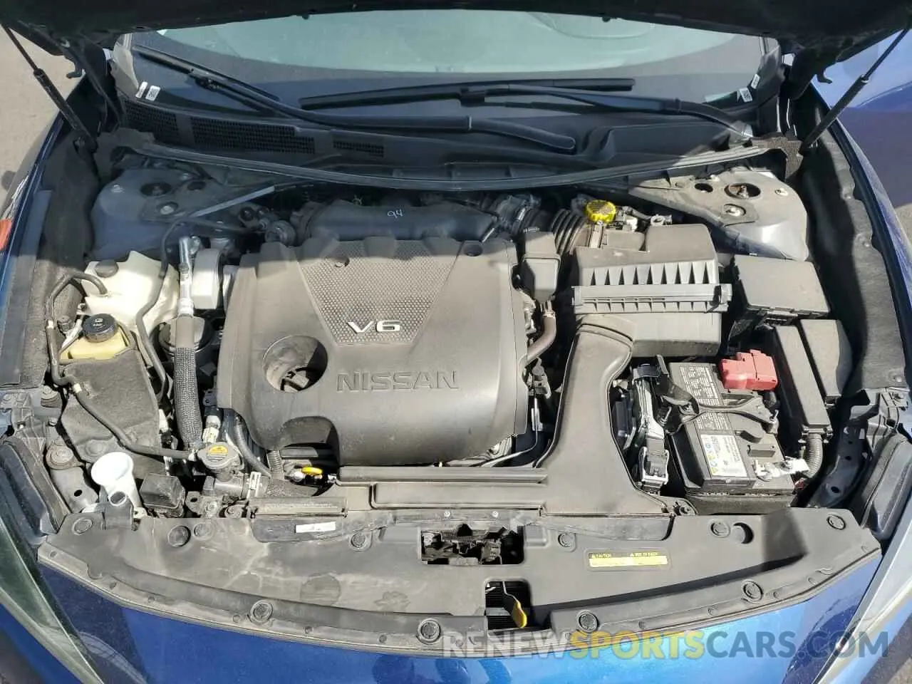 11 Photograph of a damaged car 1N4AA6CV2PC510702 NISSAN MAXIMA 2023