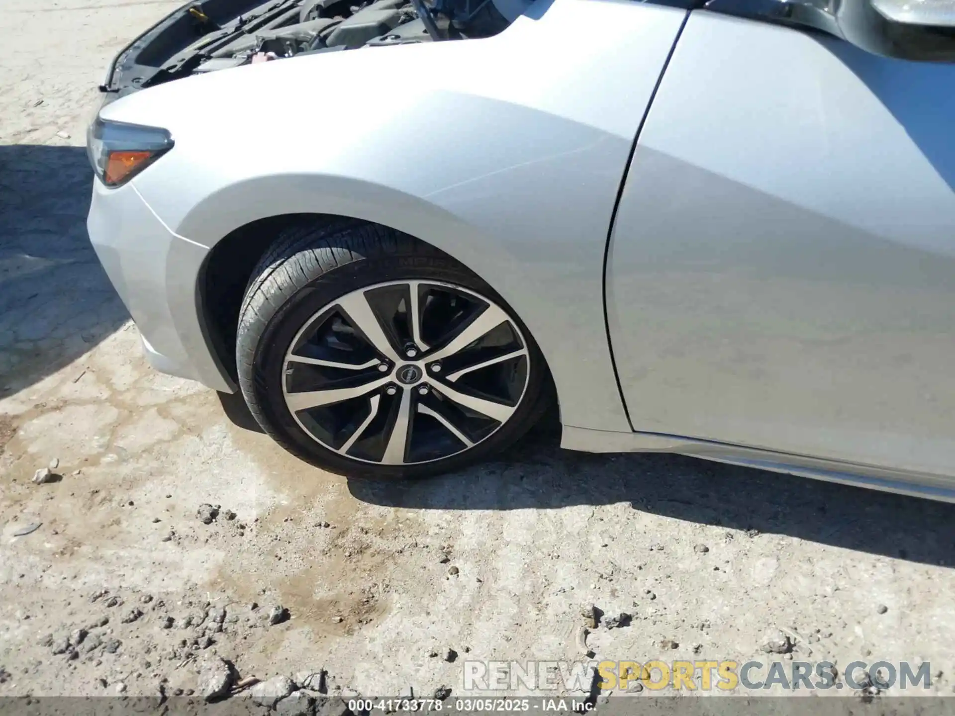 6 Photograph of a damaged car 1N4AA6CV3PC509249 NISSAN MAXIMA 2023