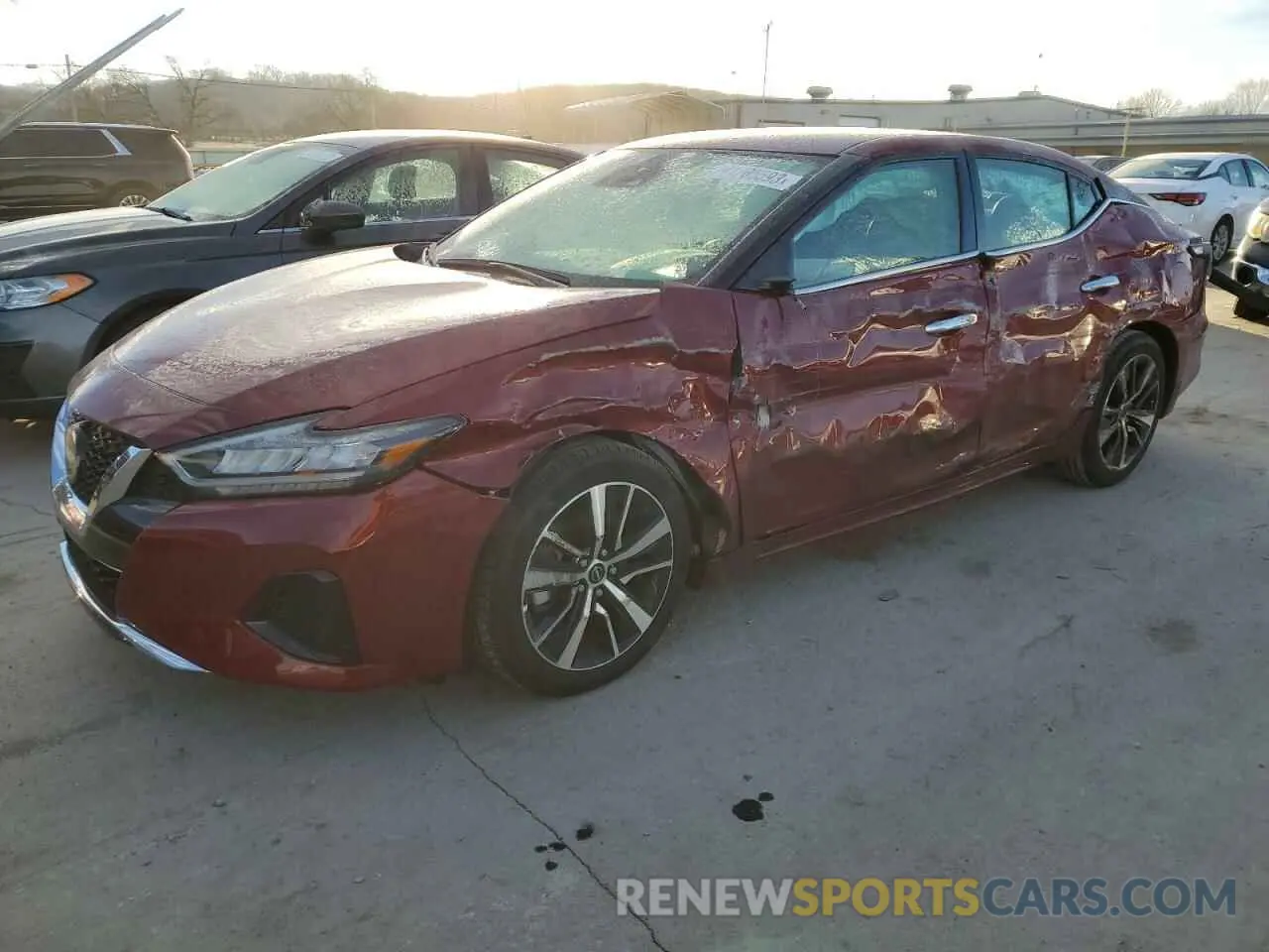 1 Photograph of a damaged car 1N4AA6CV4PC504576 NISSAN MAXIMA 2023