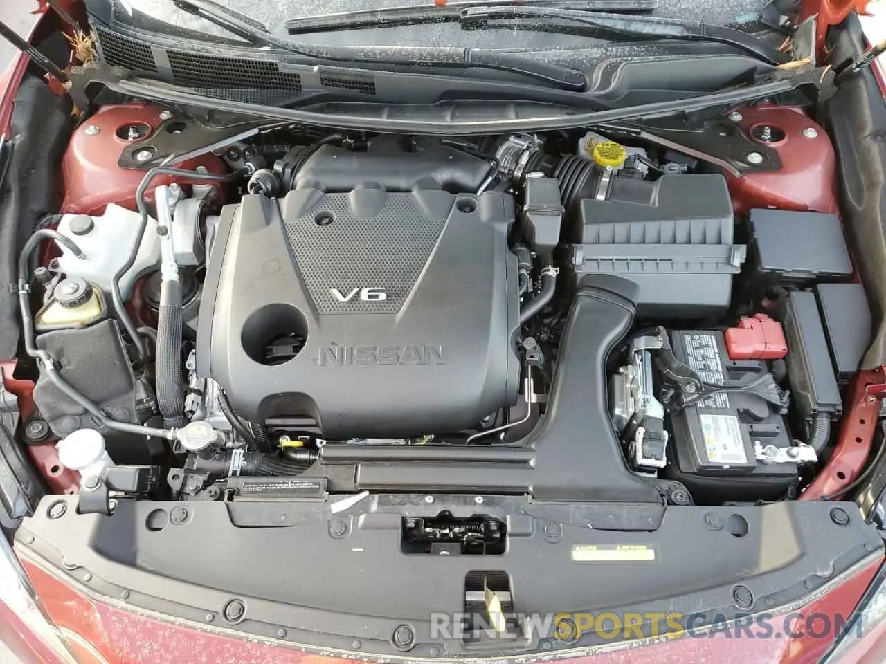 11 Photograph of a damaged car 1N4AA6CV4PC504576 NISSAN MAXIMA 2023