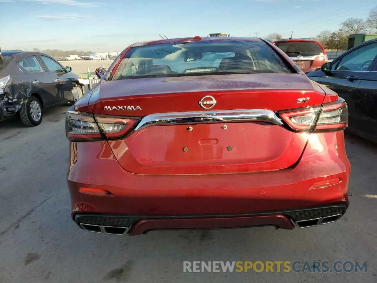 6 Photograph of a damaged car 1N4AA6CV4PC504576 NISSAN MAXIMA 2023