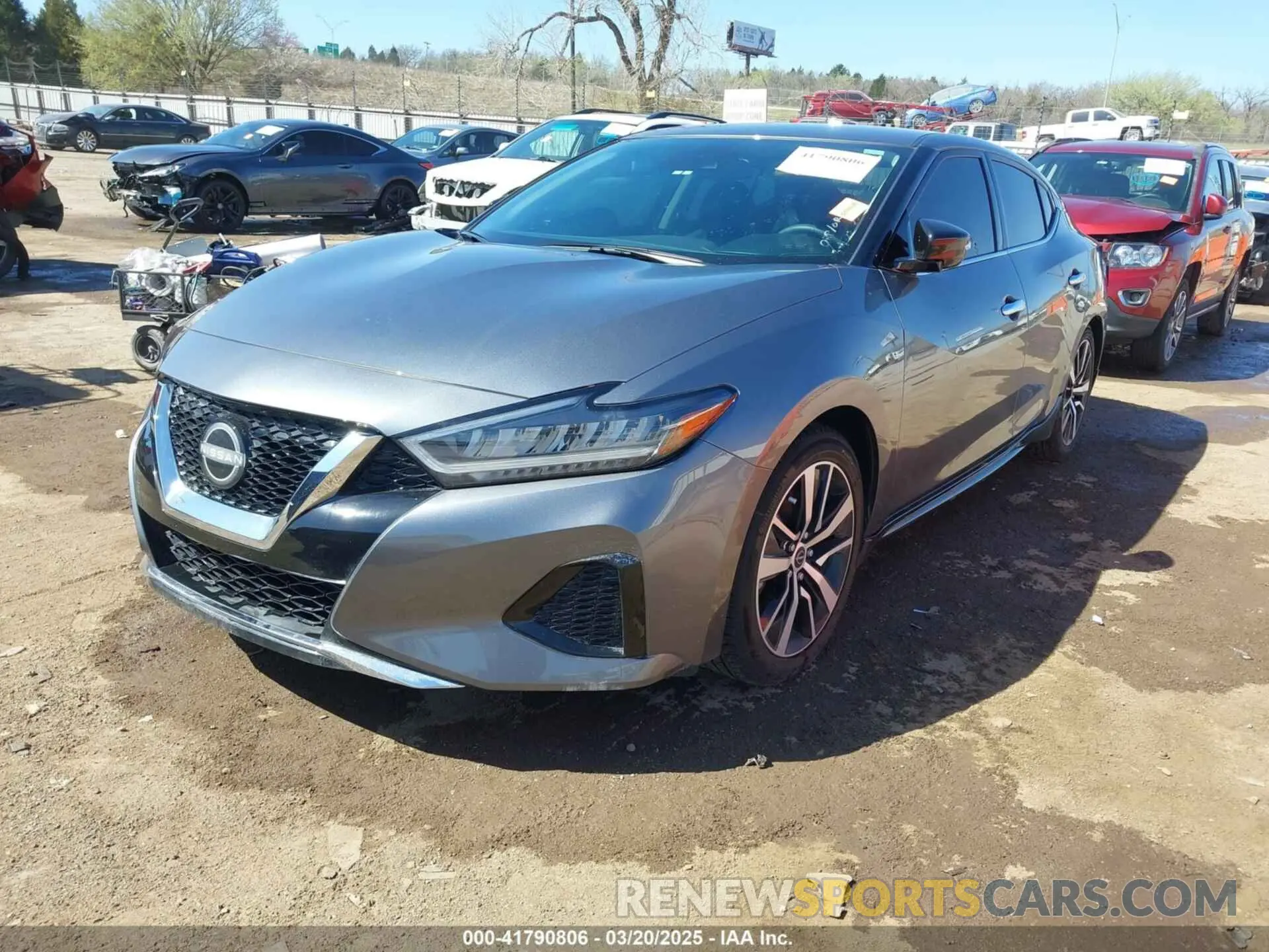 2 Photograph of a damaged car 1N4AA6CV4PC513780 NISSAN MAXIMA 2023