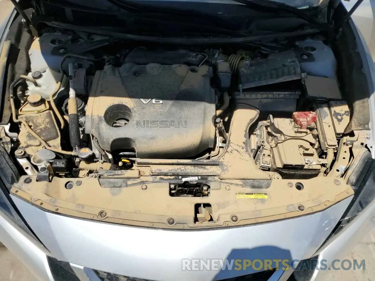 11 Photograph of a damaged car 1N4AA6CV5PC508247 NISSAN MAXIMA 2023