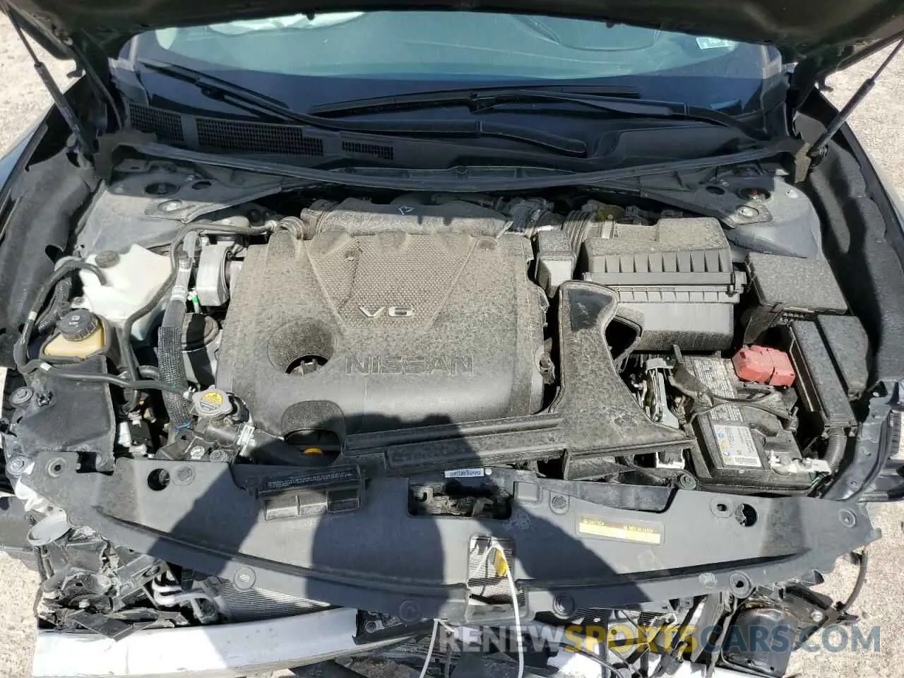 11 Photograph of a damaged car 1N4AA6CV5PC511116 NISSAN MAXIMA 2023