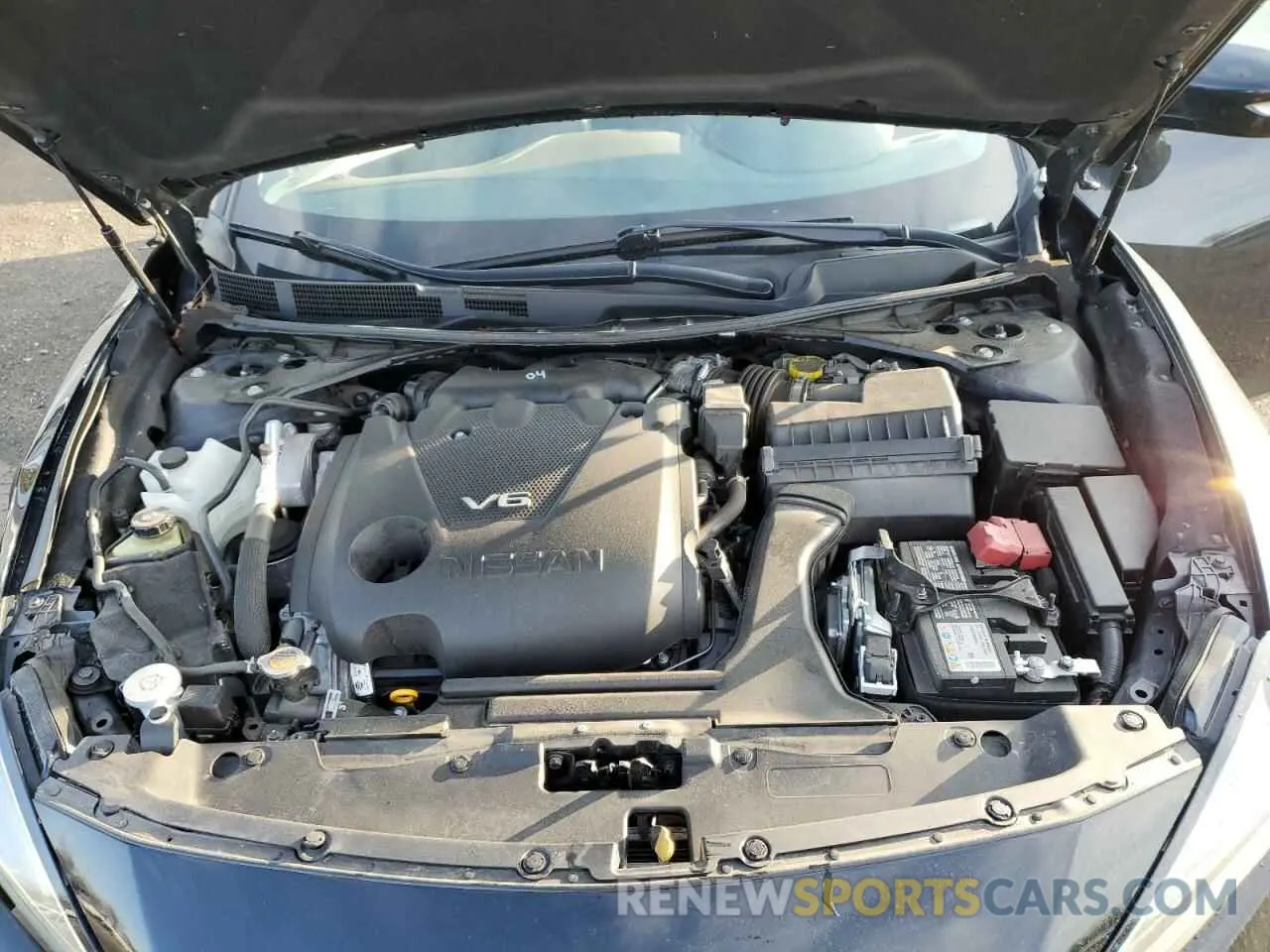 11 Photograph of a damaged car 1N4AA6CV6PC510850 NISSAN MAXIMA 2023