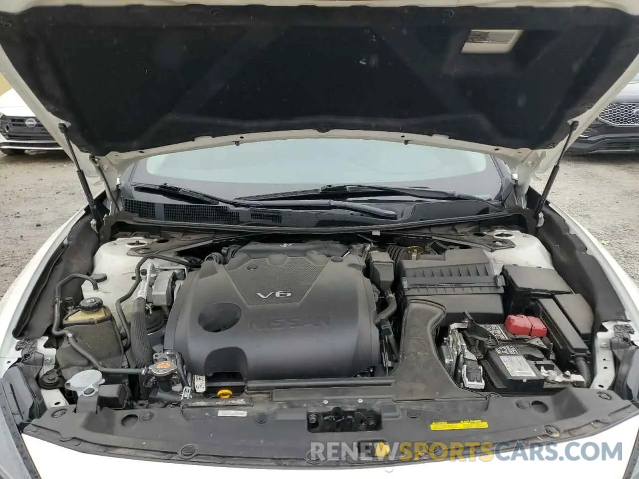 11 Photograph of a damaged car 1N4AA6CV6PC512713 NISSAN MAXIMA 2023