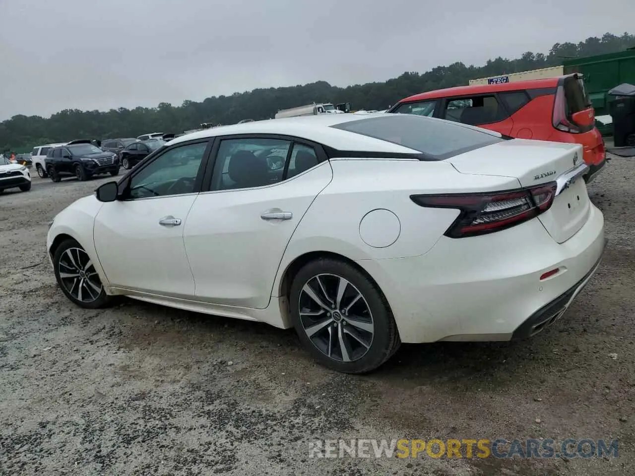 2 Photograph of a damaged car 1N4AA6CV6PC512713 NISSAN MAXIMA 2023
