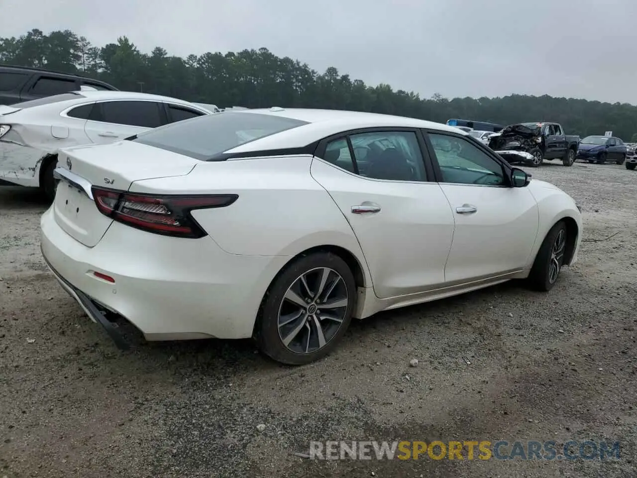 3 Photograph of a damaged car 1N4AA6CV6PC512713 NISSAN MAXIMA 2023