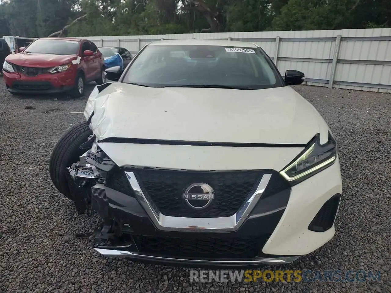 5 Photograph of a damaged car 1N4AA6CV8PC511191 NISSAN MAXIMA 2023
