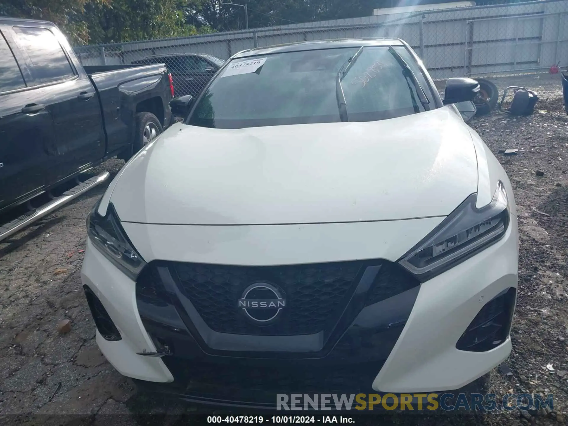 12 Photograph of a damaged car 1N4AA6EV0PC502854 NISSAN MAXIMA 2023