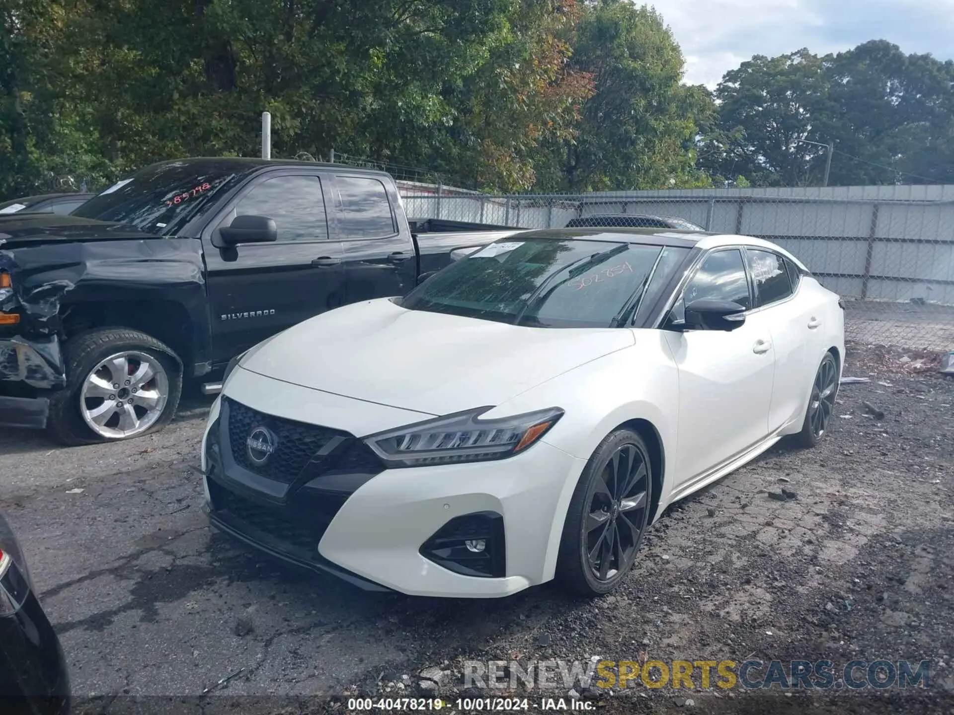 2 Photograph of a damaged car 1N4AA6EV0PC502854 NISSAN MAXIMA 2023