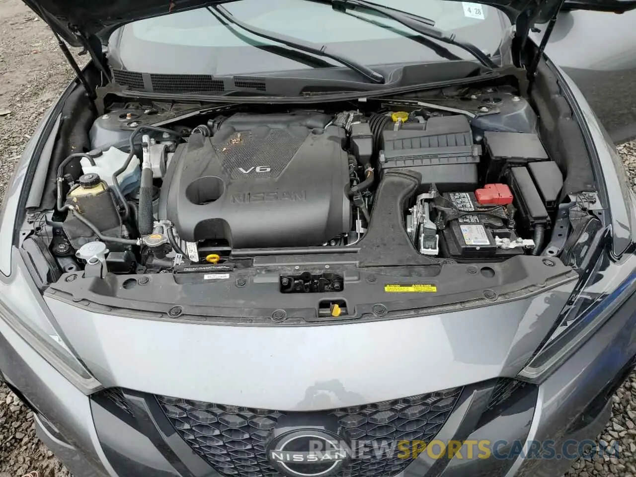 11 Photograph of a damaged car 1N4AA6EV1PC507741 NISSAN MAXIMA 2023
