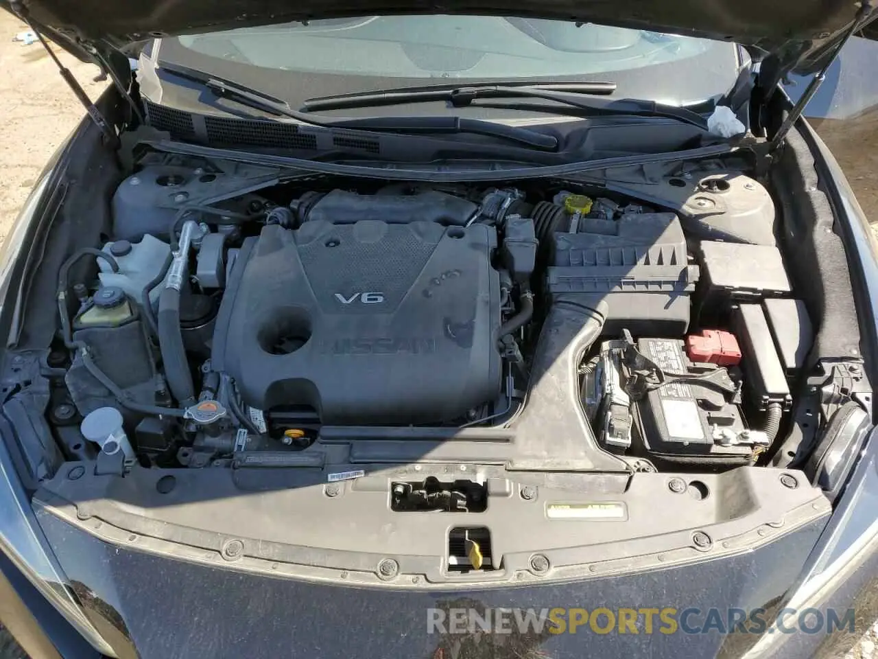 11 Photograph of a damaged car 1N4AA6EV2PC507537 NISSAN MAXIMA 2023