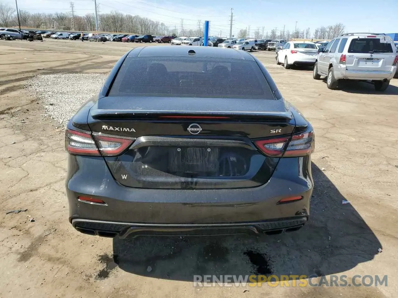 6 Photograph of a damaged car 1N4AA6EV2PC507537 NISSAN MAXIMA 2023