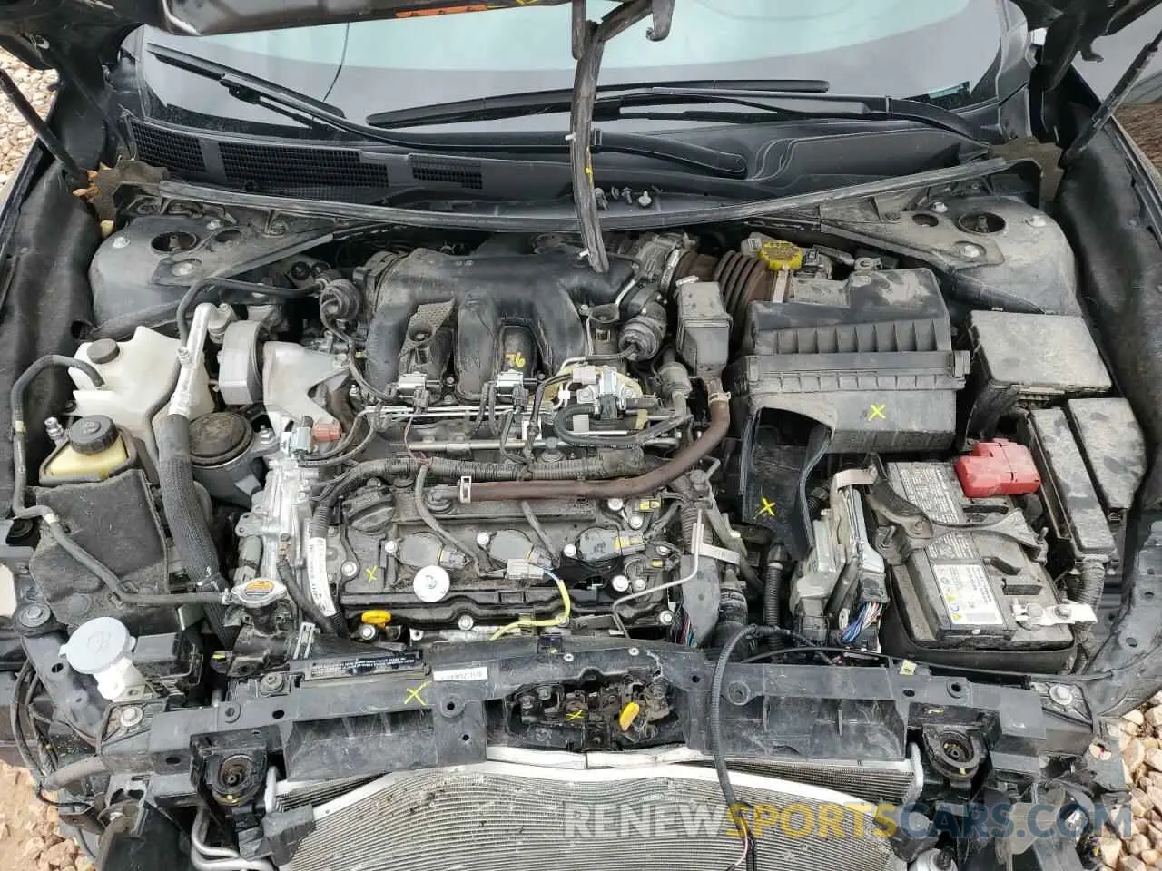 11 Photograph of a damaged car 1N4AA6EV3PC502881 NISSAN MAXIMA 2023