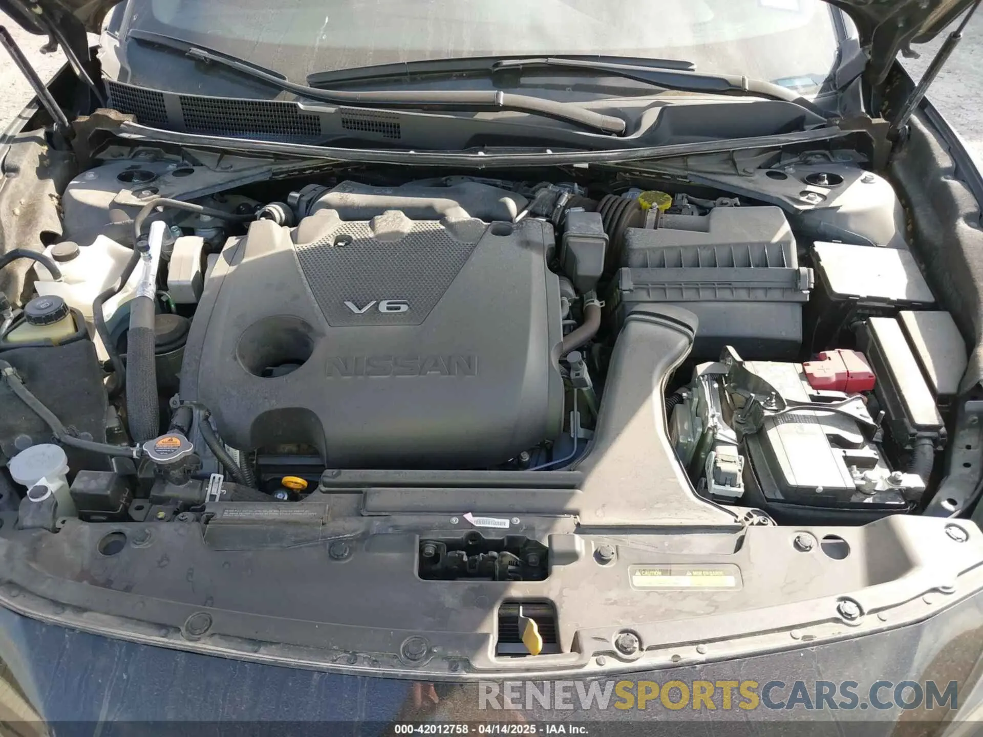 10 Photograph of a damaged car 1N4AA6EV6PC506634 NISSAN MAXIMA 2023