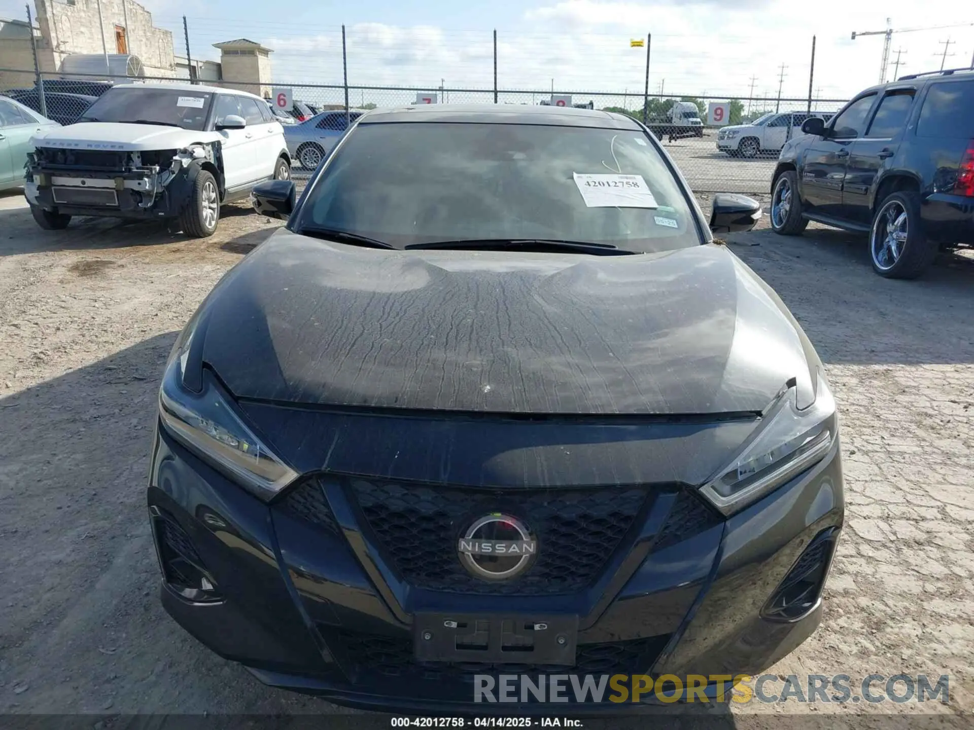 12 Photograph of a damaged car 1N4AA6EV6PC506634 NISSAN MAXIMA 2023