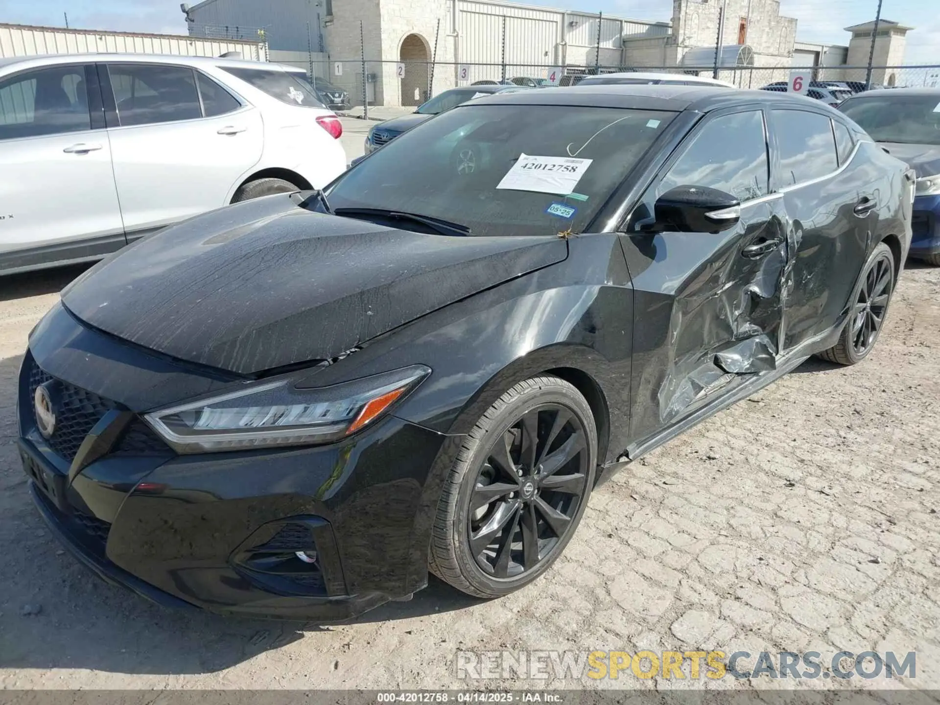 2 Photograph of a damaged car 1N4AA6EV6PC506634 NISSAN MAXIMA 2023
