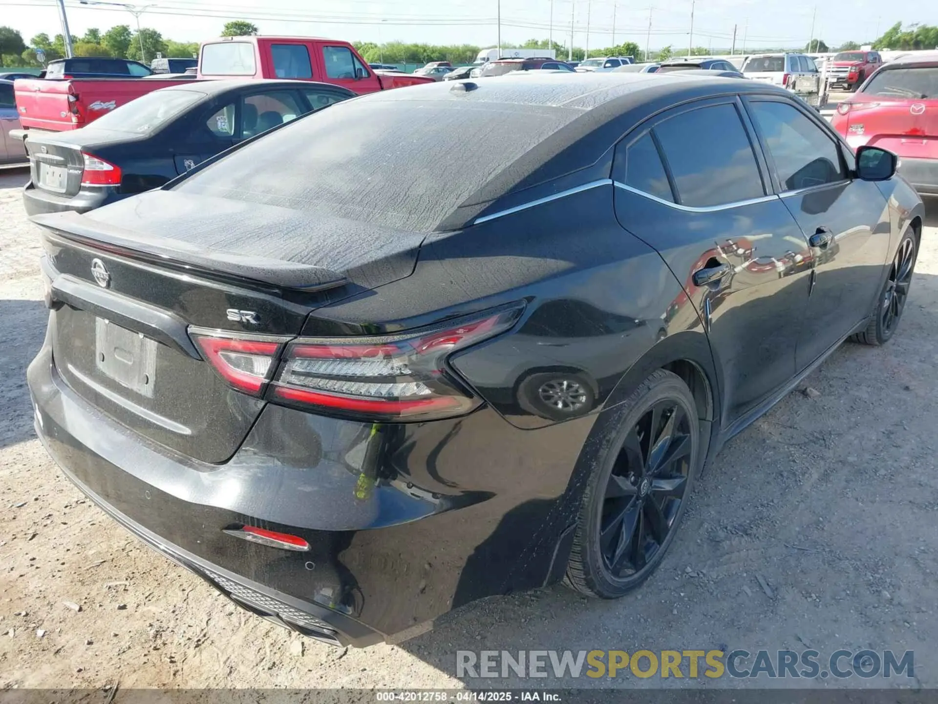 4 Photograph of a damaged car 1N4AA6EV6PC506634 NISSAN MAXIMA 2023