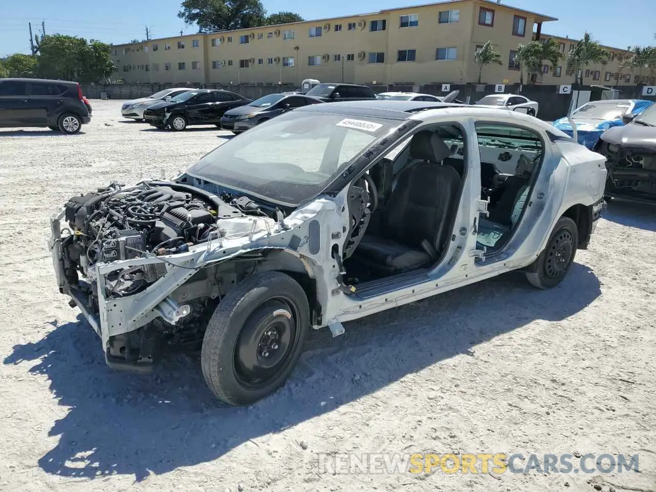 1 Photograph of a damaged car 1N4AA6EV8PC506800 NISSAN MAXIMA 2023