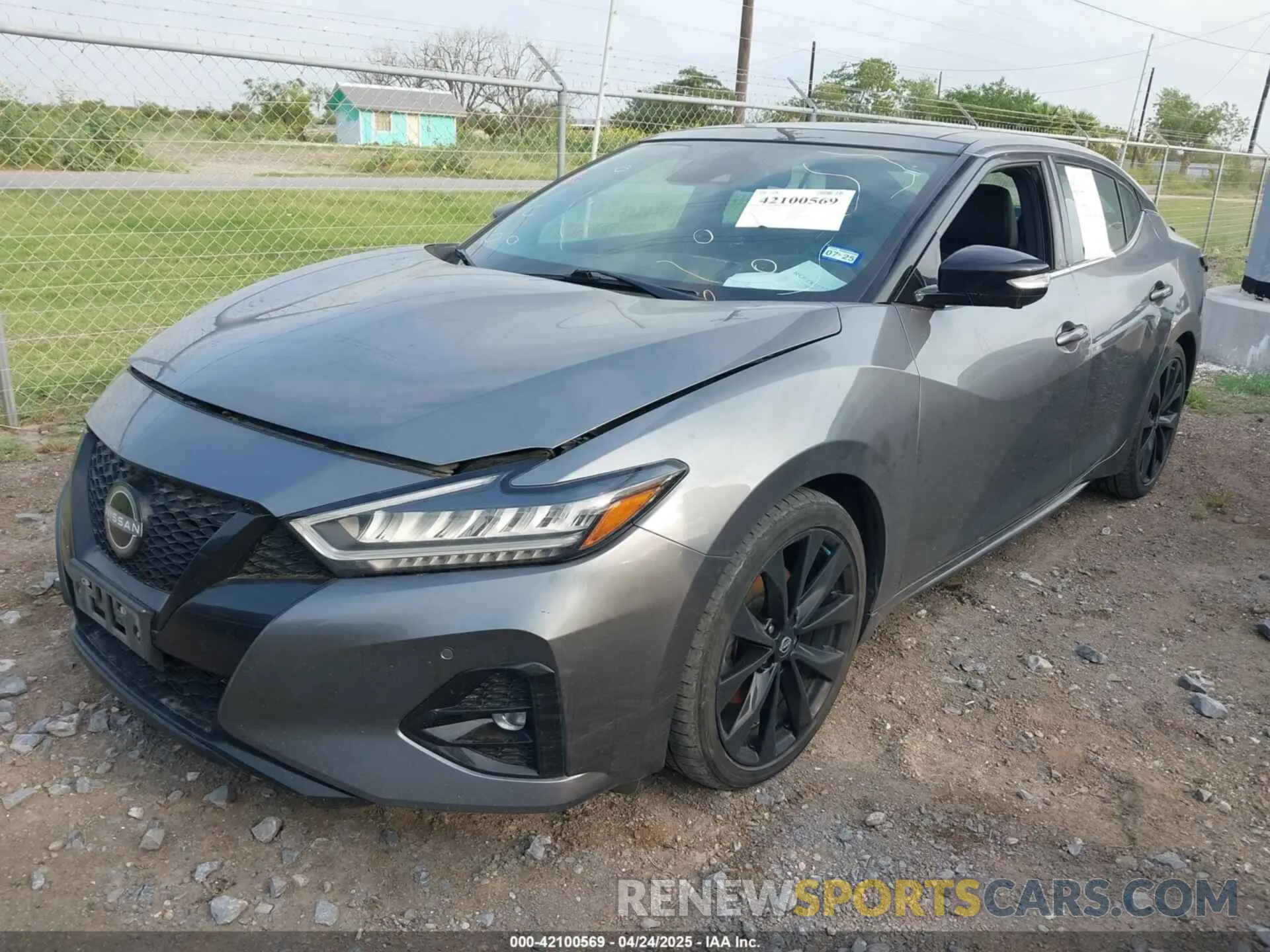 2 Photograph of a damaged car 1N4AA6EVXPC508029 NISSAN MAXIMA 2023