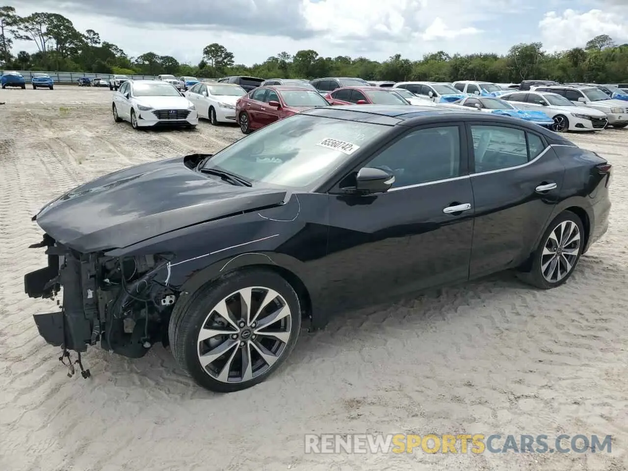 1 Photograph of a damaged car 1N4AA6FV0PC501797 NISSAN MAXIMA 2023