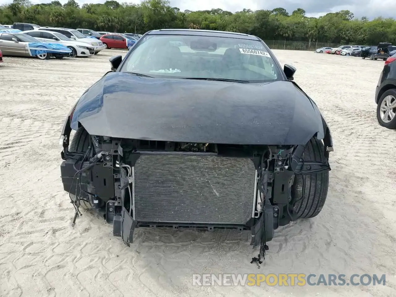 5 Photograph of a damaged car 1N4AA6FV0PC501797 NISSAN MAXIMA 2023