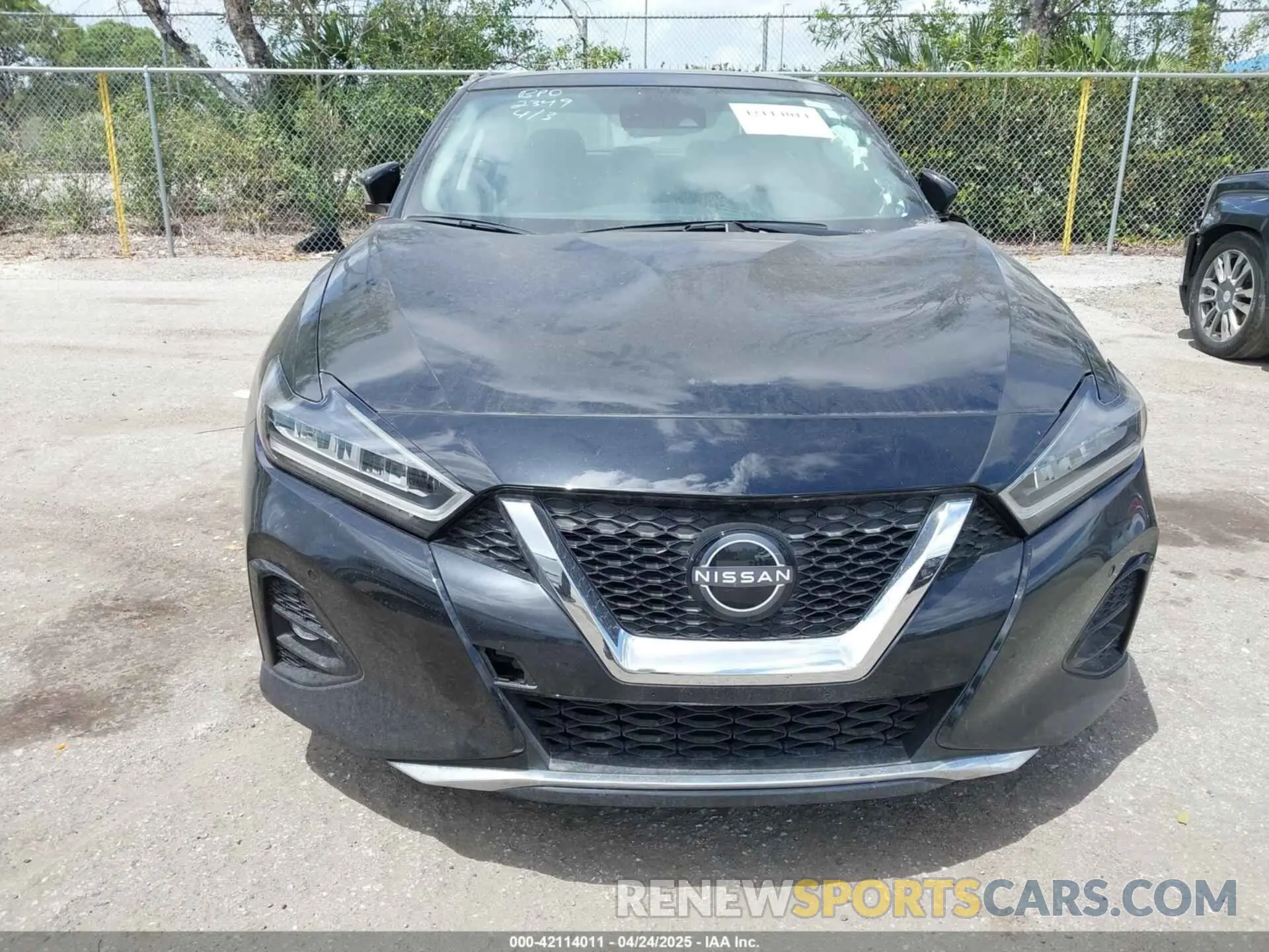 12 Photograph of a damaged car 1N4AA6FV0PC502349 NISSAN MAXIMA 2023