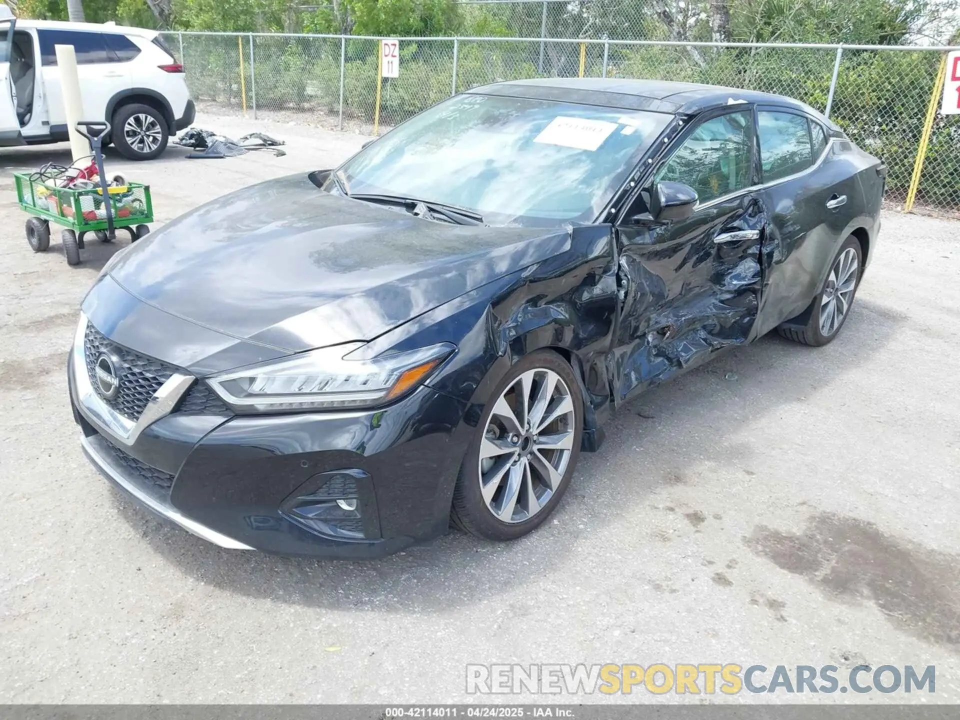 6 Photograph of a damaged car 1N4AA6FV0PC502349 NISSAN MAXIMA 2023