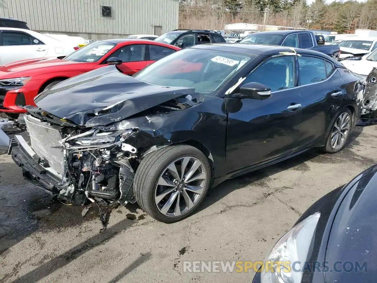 1 Photograph of a damaged car 1N4AA6FV2PC505995 NISSAN MAXIMA 2023