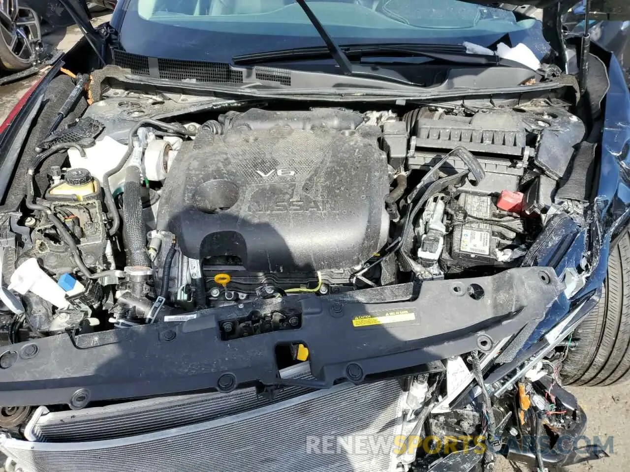 11 Photograph of a damaged car 1N4AA6FV2PC505995 NISSAN MAXIMA 2023