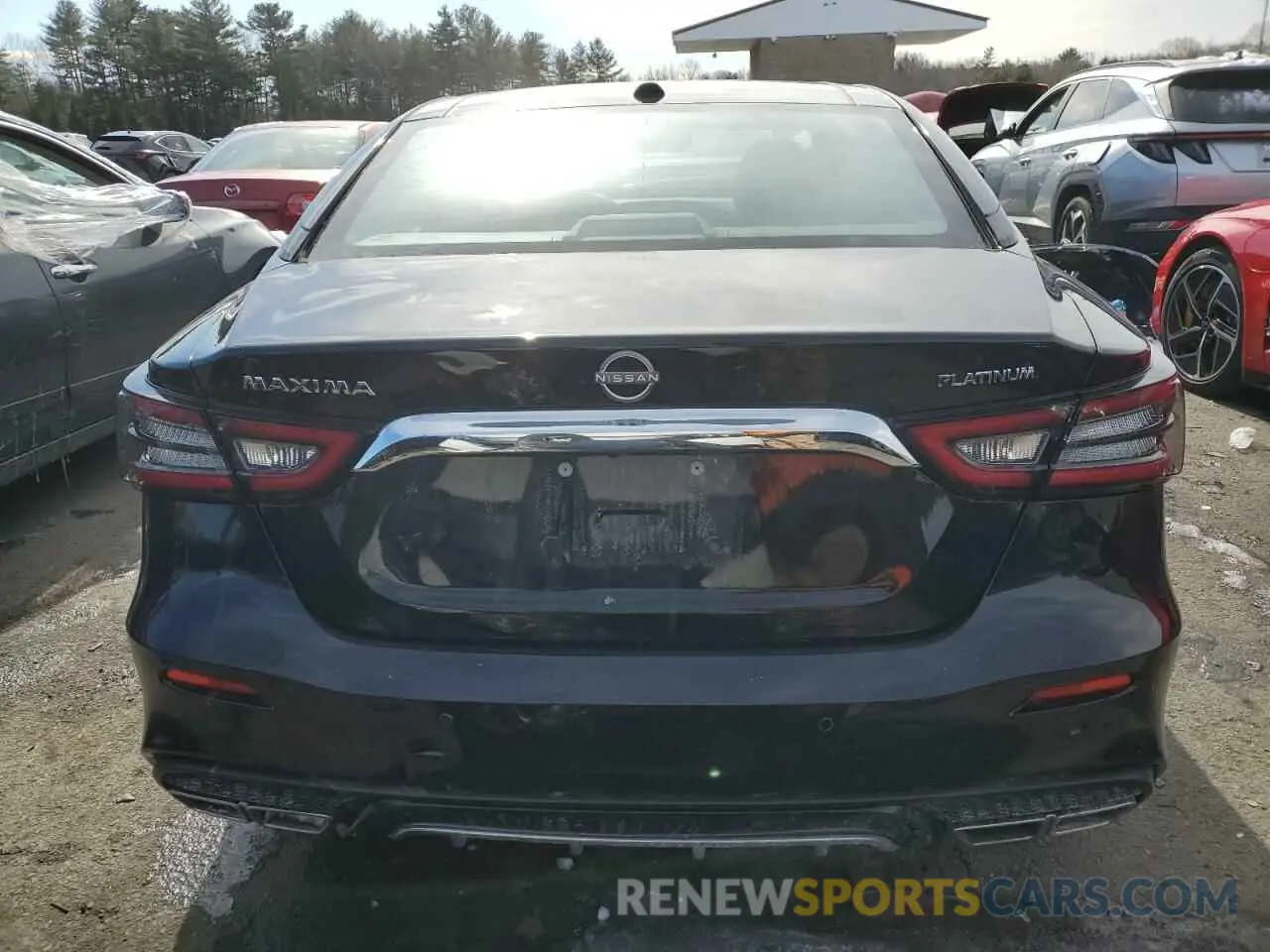 6 Photograph of a damaged car 1N4AA6FV2PC505995 NISSAN MAXIMA 2023
