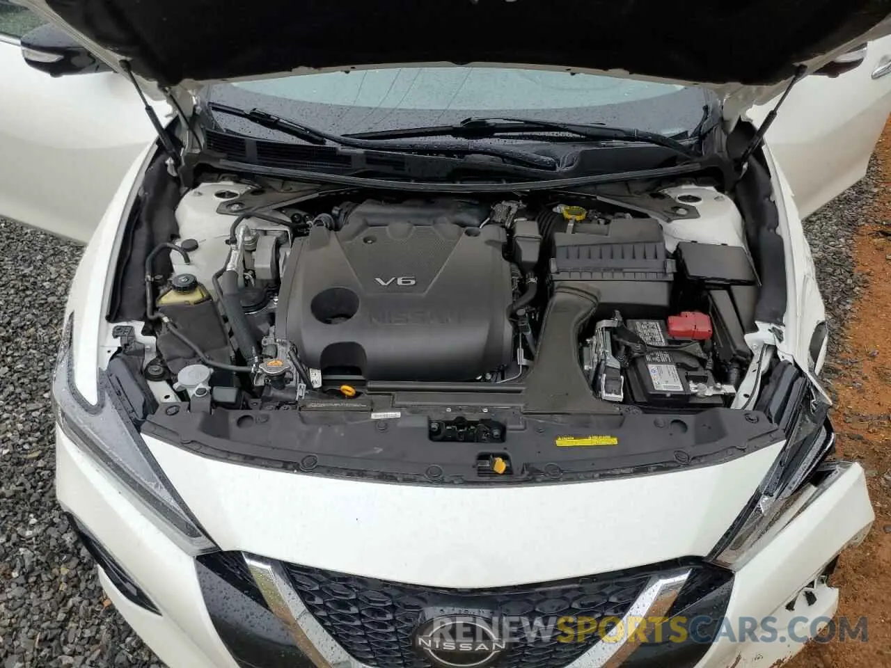 11 Photograph of a damaged car 1N4AA6FV3PC501759 NISSAN MAXIMA 2023