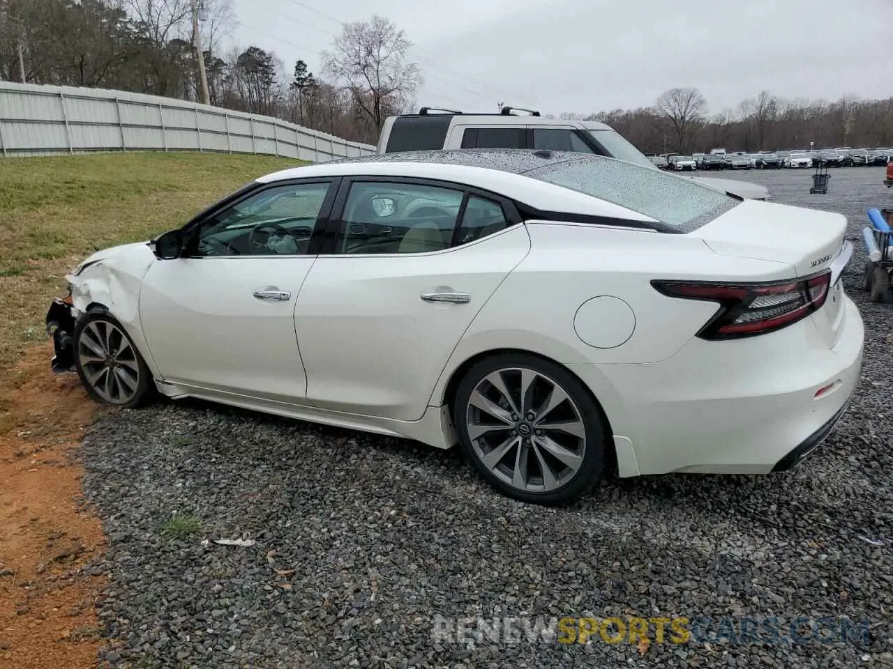 2 Photograph of a damaged car 1N4AA6FV3PC501759 NISSAN MAXIMA 2023