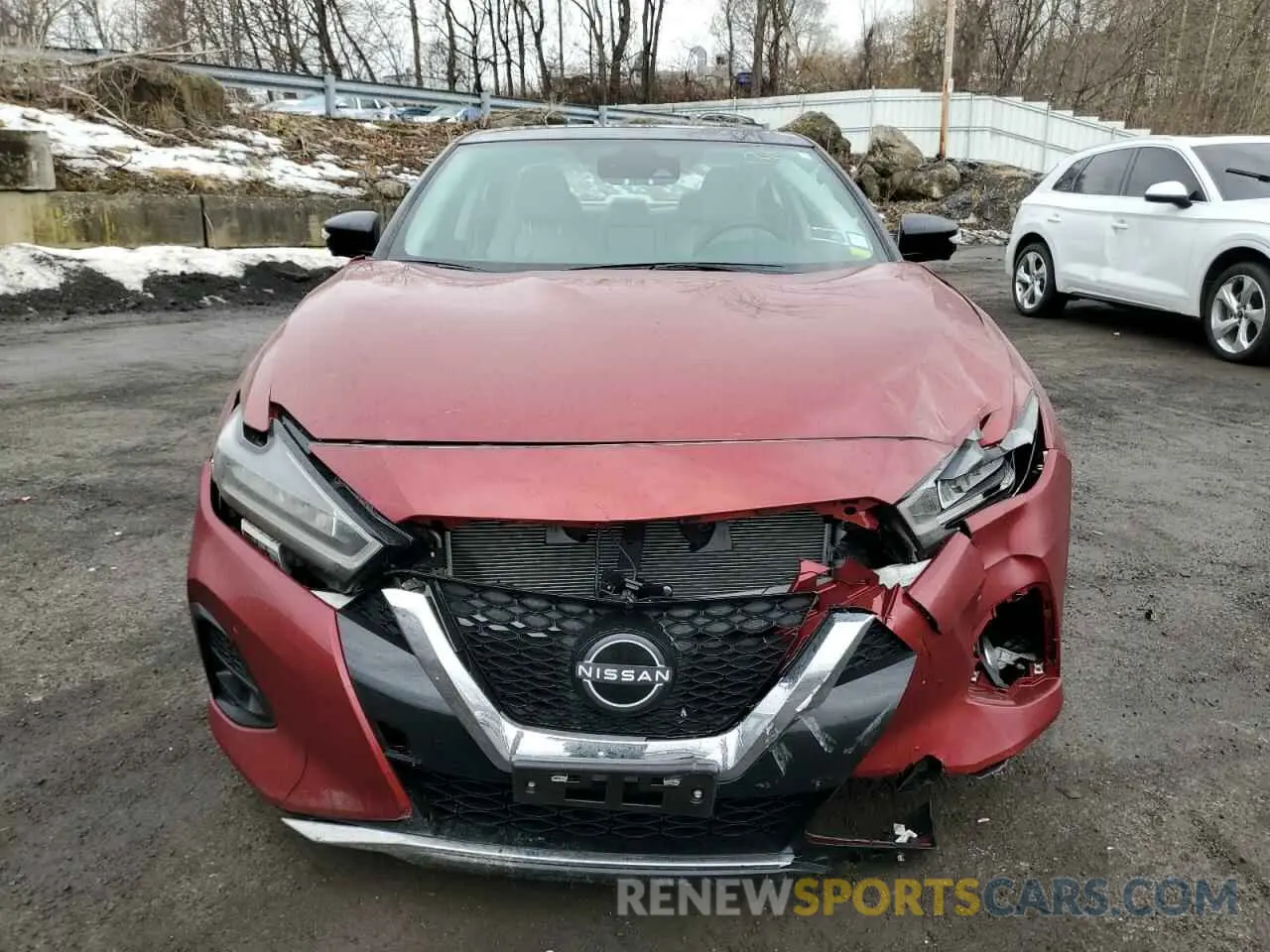 5 Photograph of a damaged car 1N4AA6FV3PC505651 NISSAN MAXIMA 2023