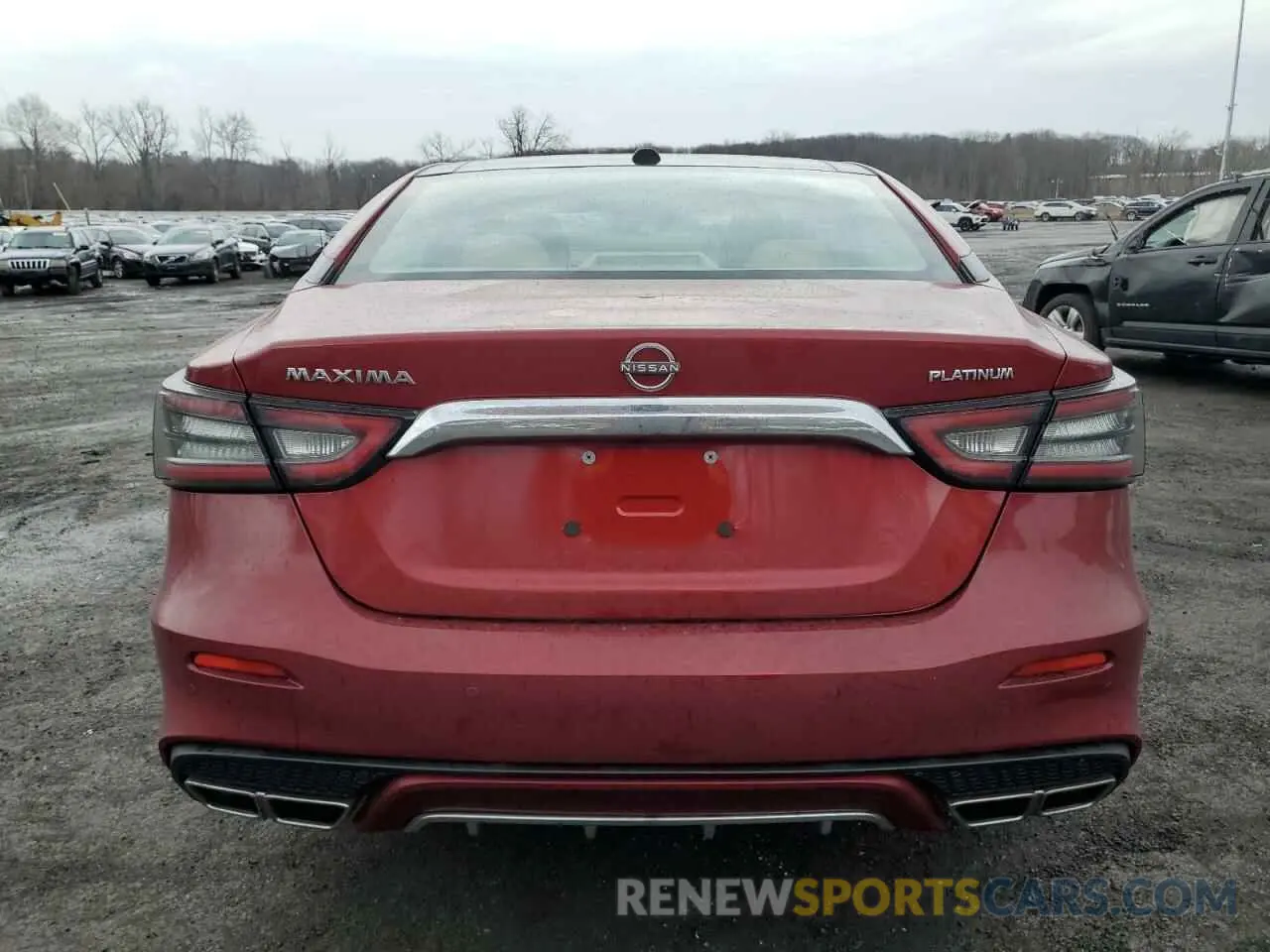 6 Photograph of a damaged car 1N4AA6FV3PC505651 NISSAN MAXIMA 2023