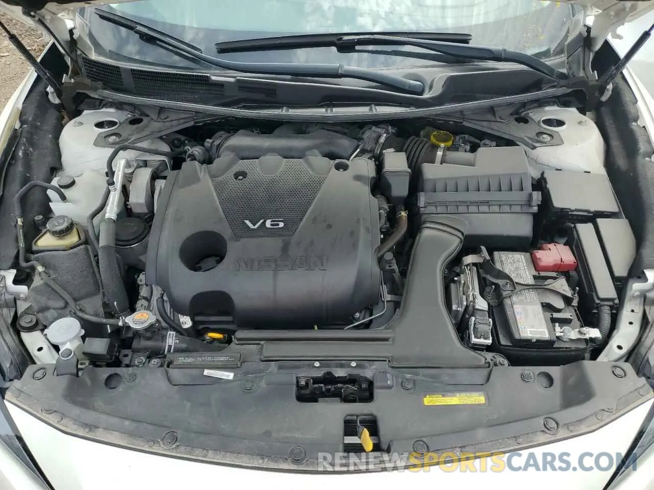 11 Photograph of a damaged car 1N4AA6FV4PC502516 NISSAN MAXIMA 2023