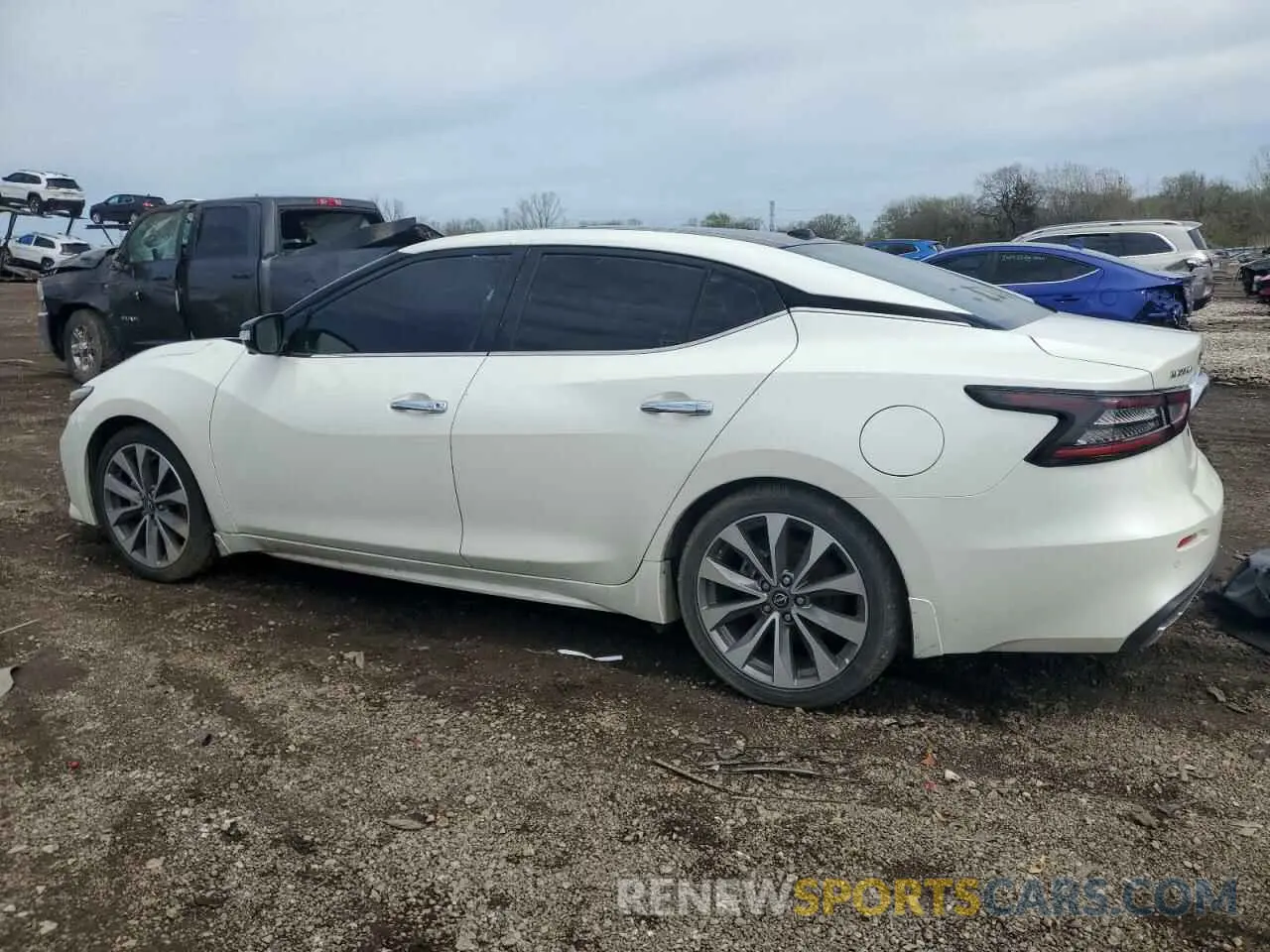 2 Photograph of a damaged car 1N4AA6FV4PC502516 NISSAN MAXIMA 2023