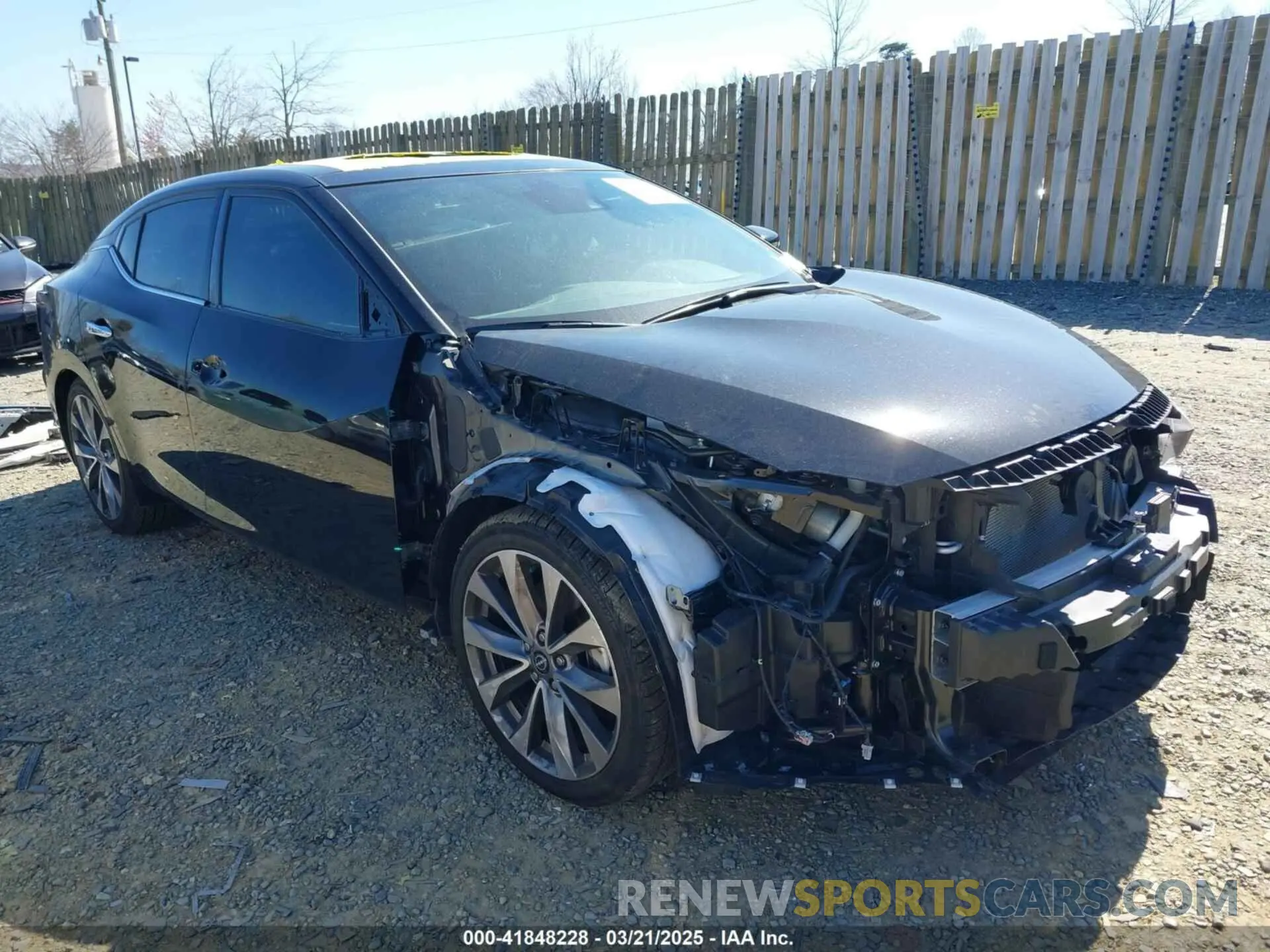1 Photograph of a damaged car 1N4AA6FV4PC504993 NISSAN MAXIMA 2023