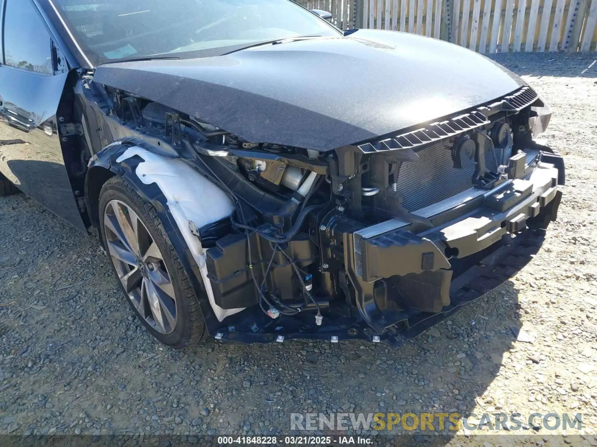6 Photograph of a damaged car 1N4AA6FV4PC504993 NISSAN MAXIMA 2023