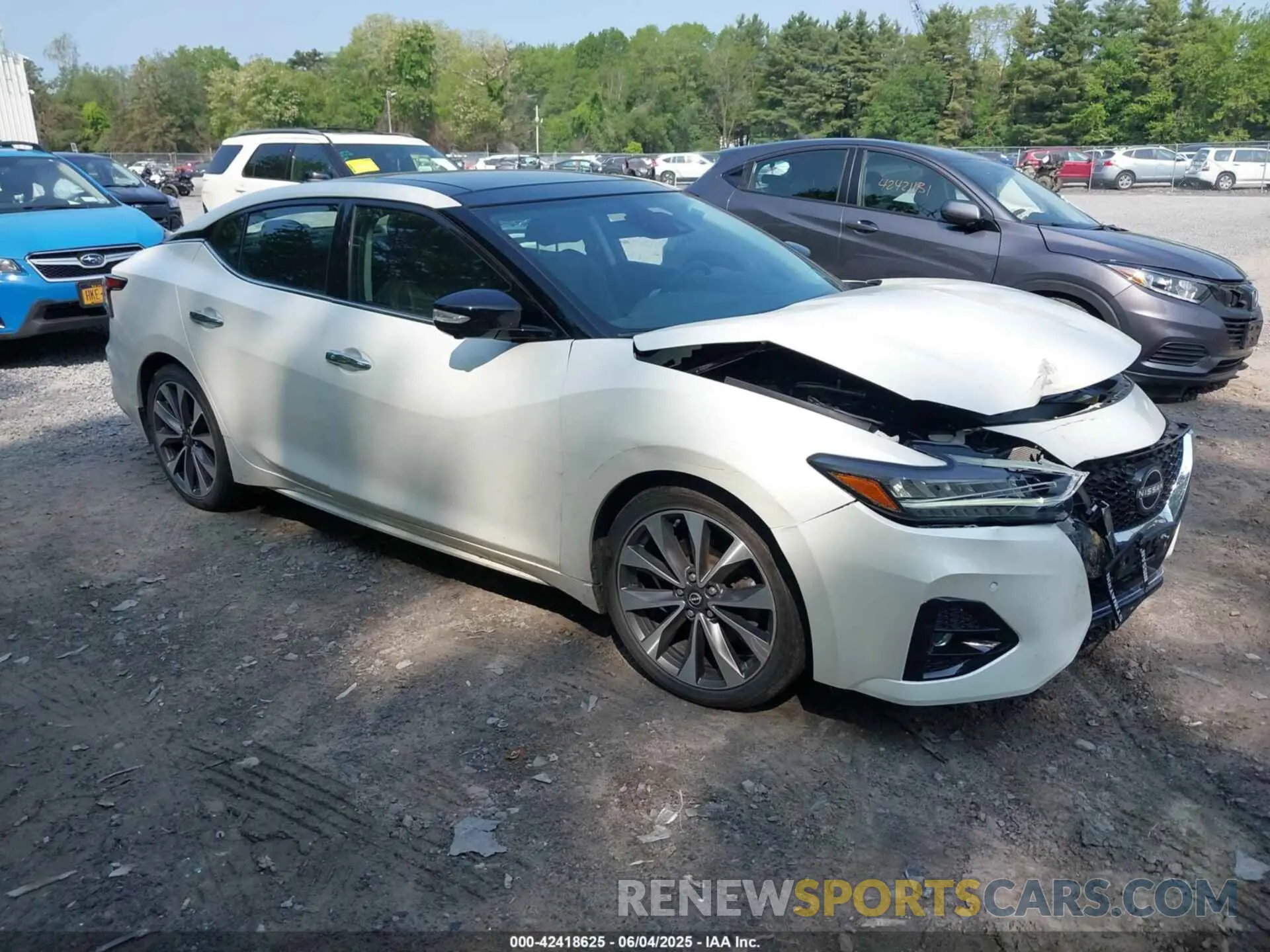 1 Photograph of a damaged car 1N4AA6FV5PC505862 NISSAN MAXIMA 2023