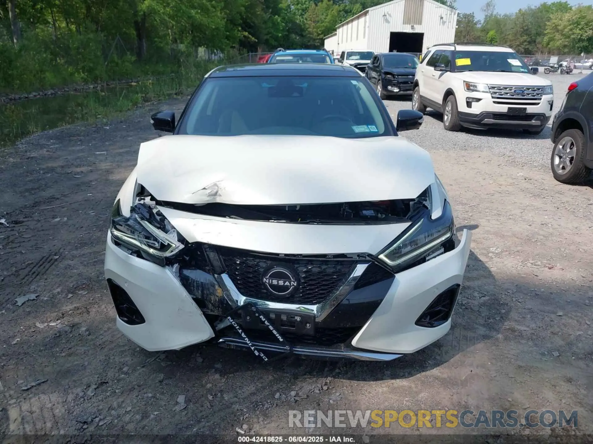 12 Photograph of a damaged car 1N4AA6FV5PC505862 NISSAN MAXIMA 2023