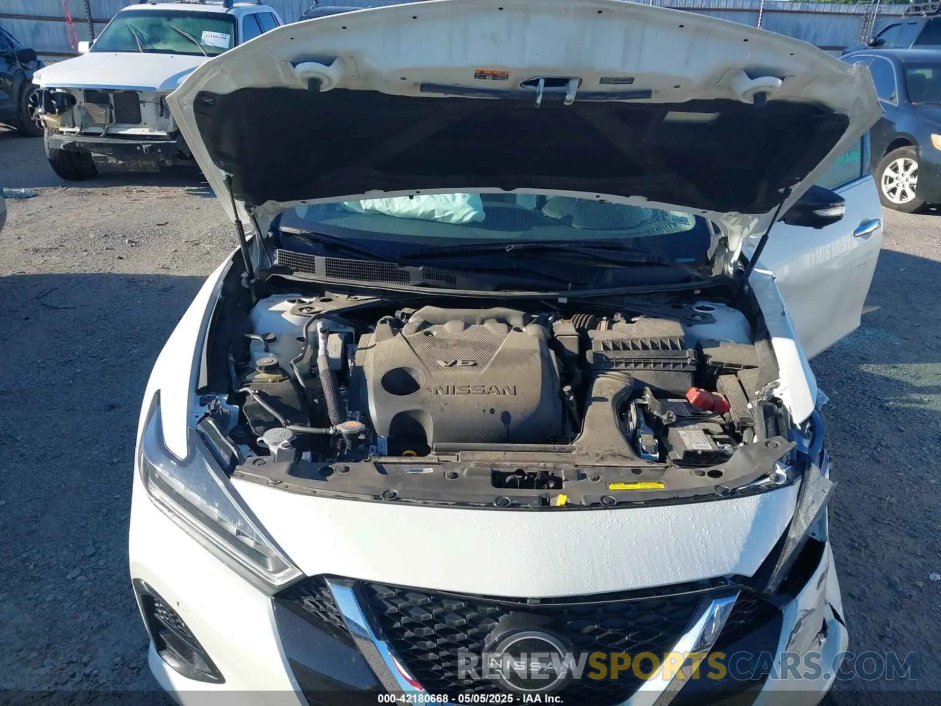 10 Photograph of a damaged car 1N4AA6FV5PC507501 NISSAN MAXIMA 2023
