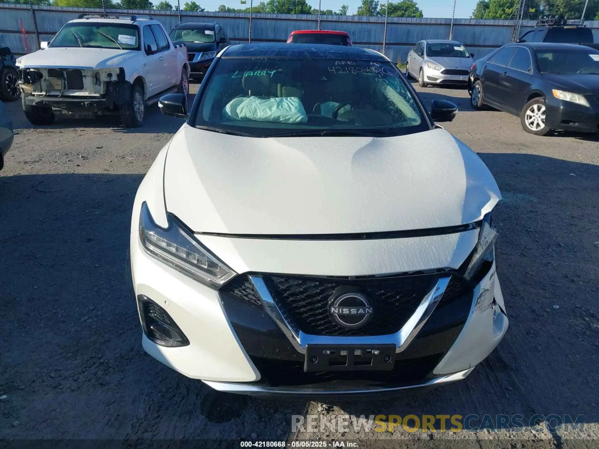 12 Photograph of a damaged car 1N4AA6FV5PC507501 NISSAN MAXIMA 2023