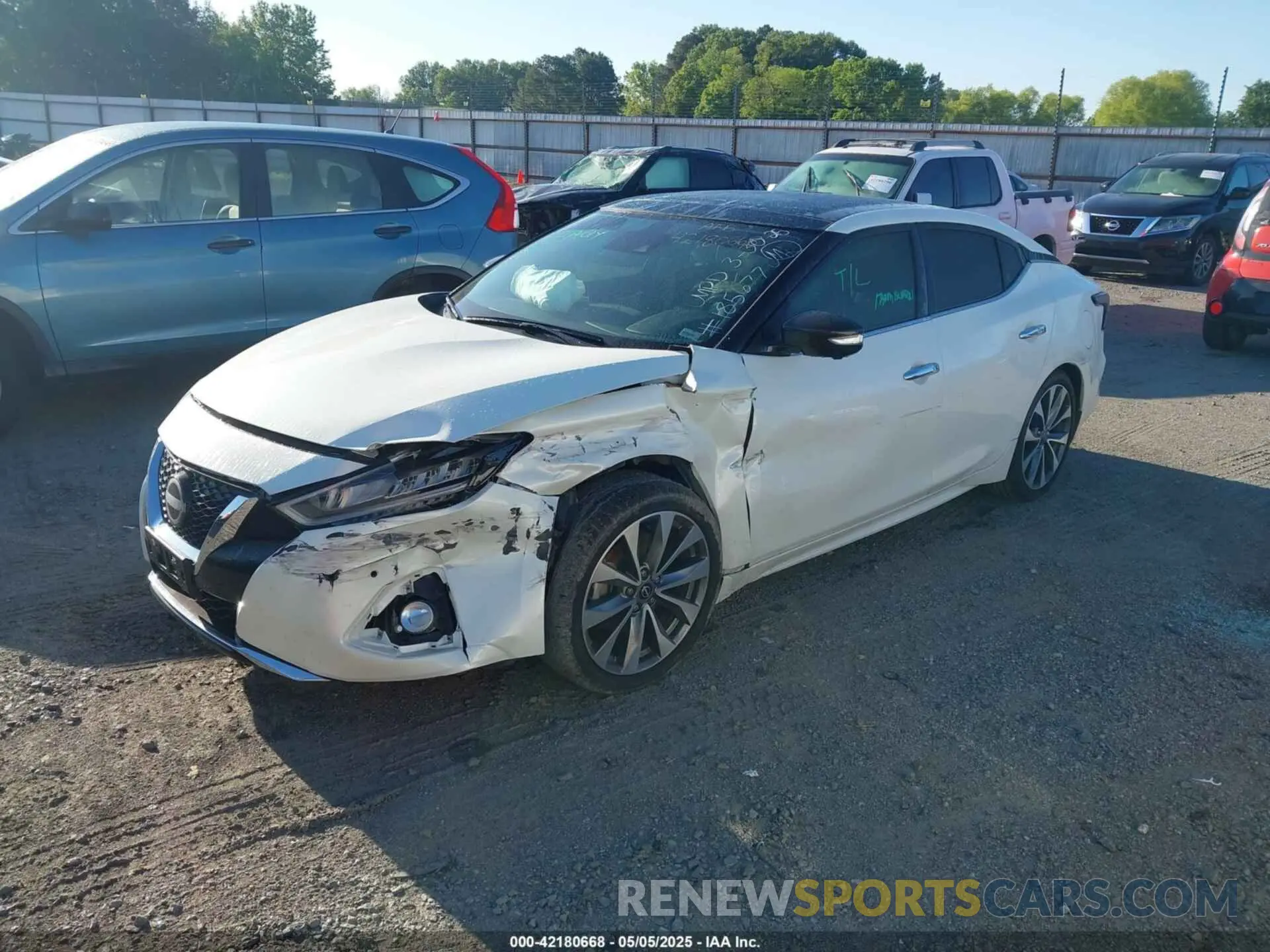 2 Photograph of a damaged car 1N4AA6FV5PC507501 NISSAN MAXIMA 2023