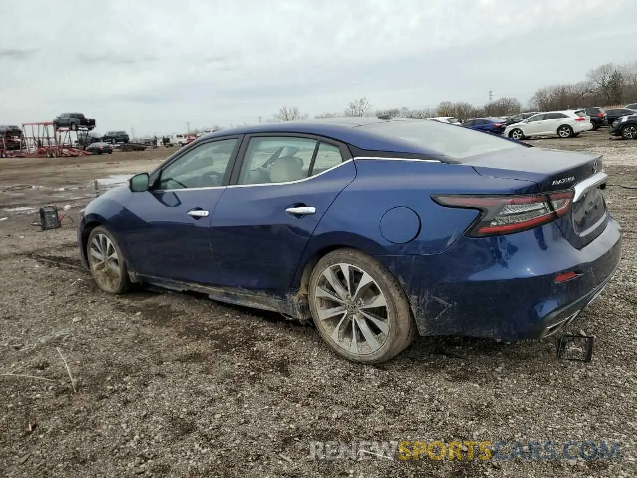 2 Photograph of a damaged car 1N4AA6FV6PC507958 NISSAN MAXIMA 2023